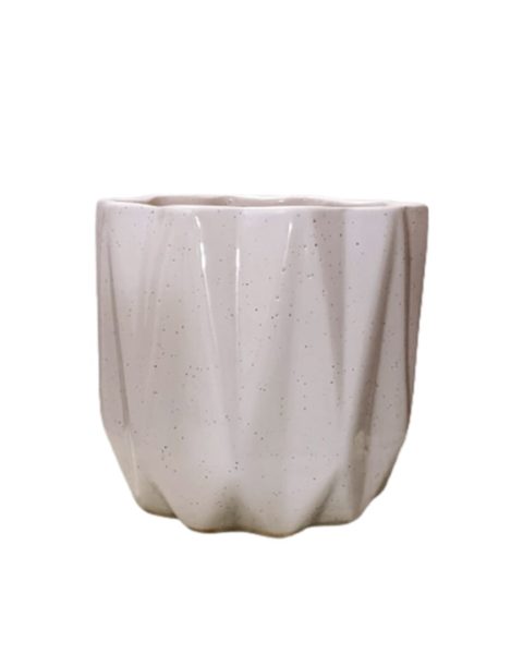 Glass Gamala  Pata